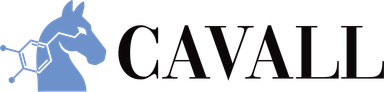 Cavall